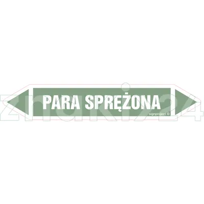 PARA SPRĘŻONA - Rurociągi - JF312