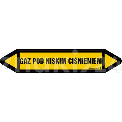 GAZ POD NISKIM CIŚNIENIEM - Rurociągi - JF187