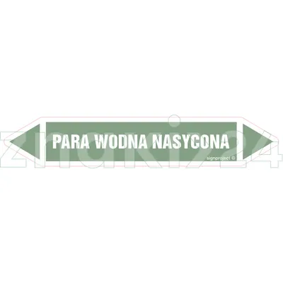 PARA WODNA NASYCONA - Rurociągi - JF313