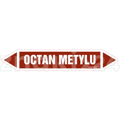 OCTAN METYLU - Rurociągi - JF288