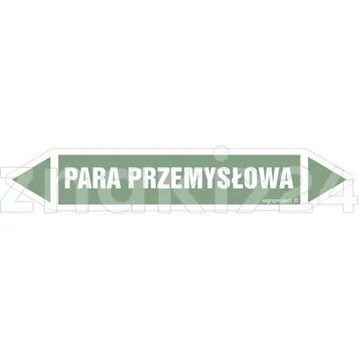 PARA PRZEMYSŁOWA - Rurociągi - JF311