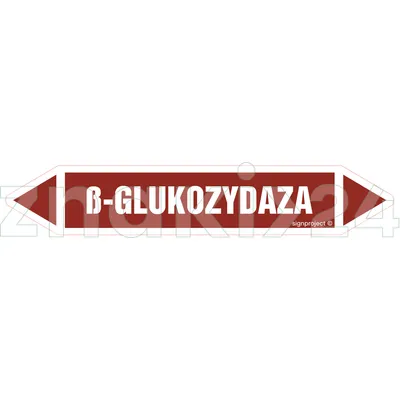 Ăź-GLUKOZYDAZA - Rurociągi - JF523