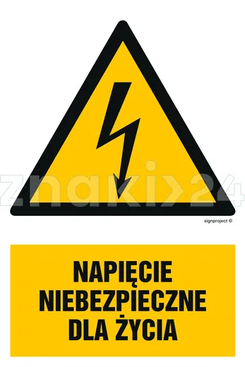 Napięcie niebezpieczne dla życia - Znak elektryczny - HA002